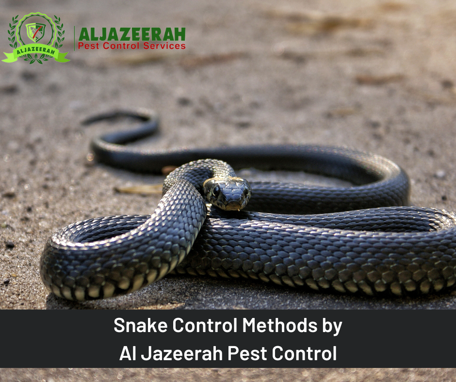 Snake Control Methods