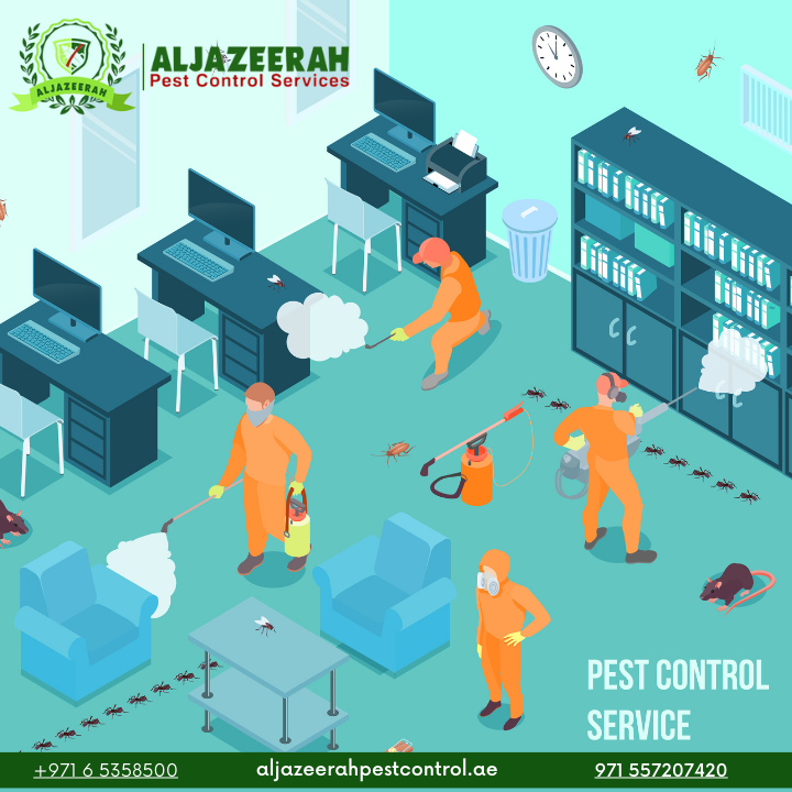 Bed bug control in UAE