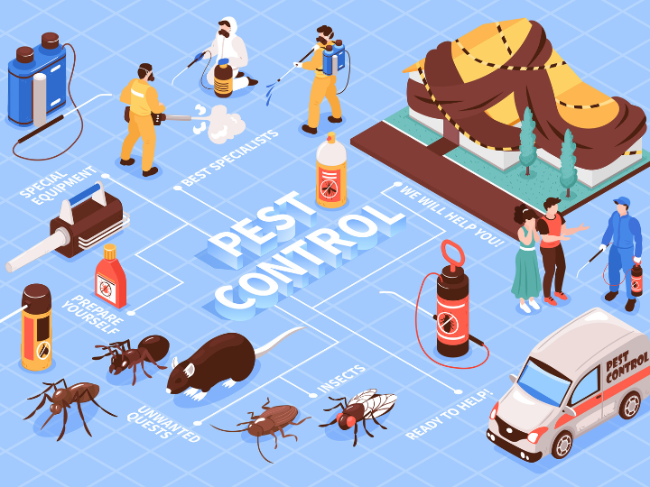 Do Pest Control Kill Rats?