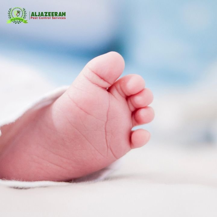 Is It Safe to Have Pest Control with Newborn