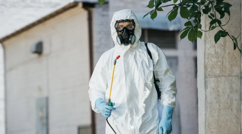 Pest Control Services in Abu Dhabi