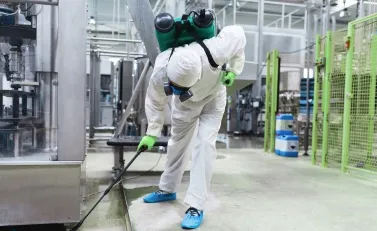 Pest Control in Abu Dhabi