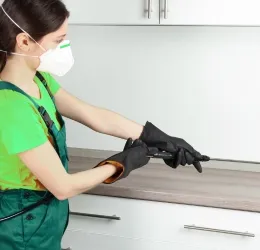 Pest Control service in Al Nahda