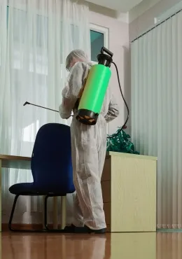 Pest Control service in Al Nahda