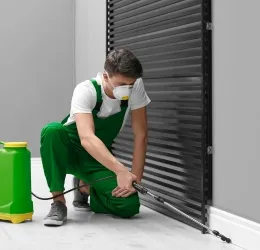 Pest Control service in Al Nahda